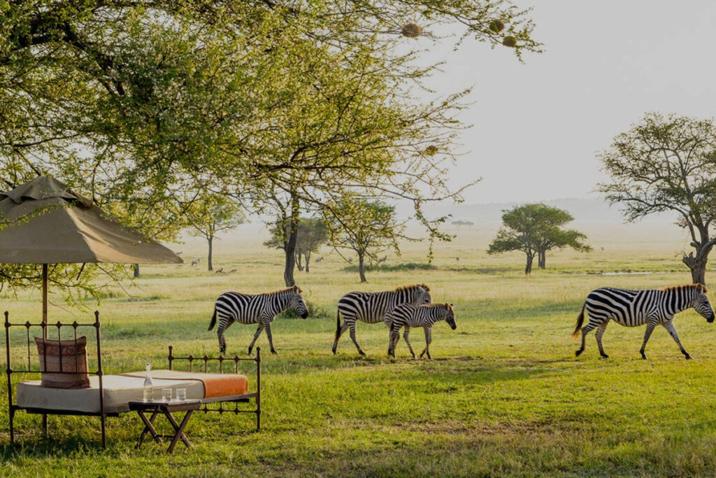 14-Day Honeymoon Safari in Tanzania